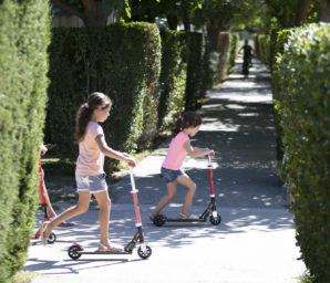 Amfora campsite - The campsite - Campsite