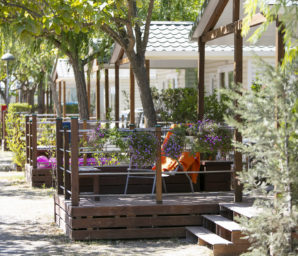 Amfora campsite - The campsite - Tree-lined paths