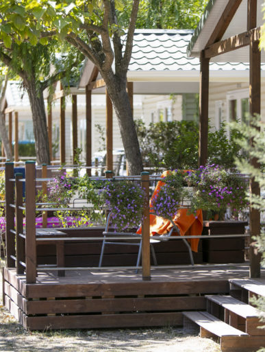 Camping Amfora - Le camping - Allées arborées