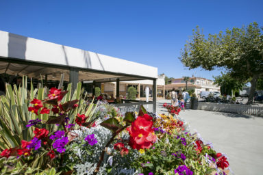 Camping Amfora - Le camping - Terrasse du restaurant et entrée du camping