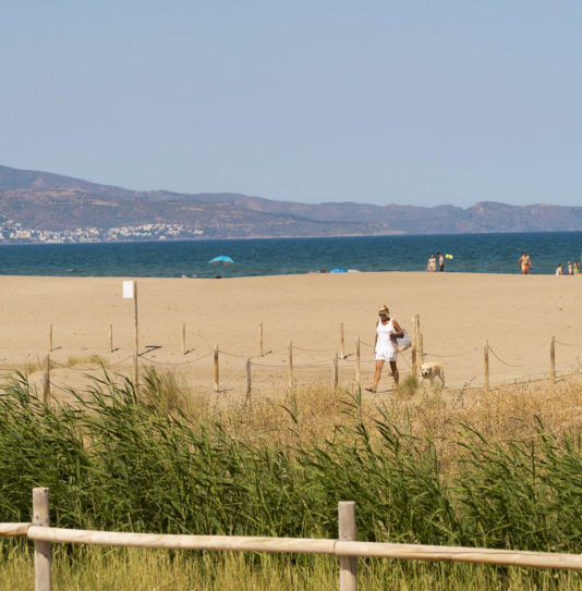 Camping Amfora - La plage - Chemin direct à la plage