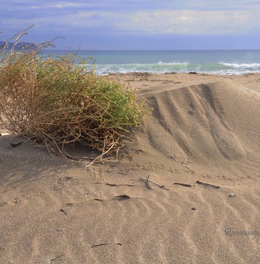 Camping Amfora - La plage - Camping avec vue sur la mer et accès direct à la plage