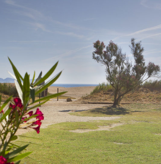 Camping Amfora - La playa -