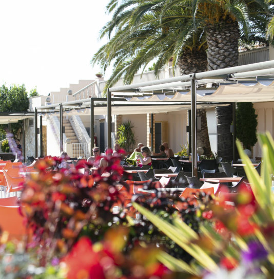 Camping Amfora - Bars et Restaurants - Terrasse du restaurant et les espaces verts du camping