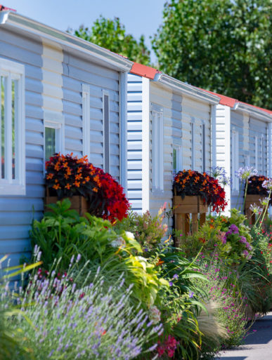 Amfora campsite - Eco-responsible approach - The campsite is committed to making its paths greener