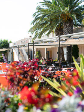 Amfora campsite - Eco-responsible approach -