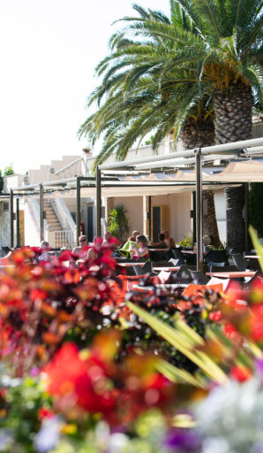 Amfora campsite - Eco-responsible approach -