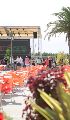 Amfora campsite - Eco-responsible approach - The campsite