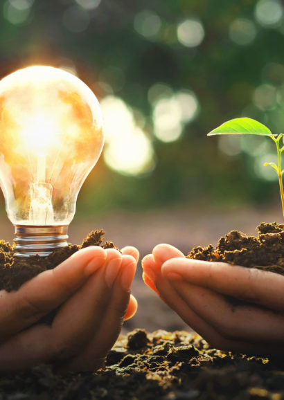 Amfora campsite - Eco friendly strategy - Our energy is 100% green