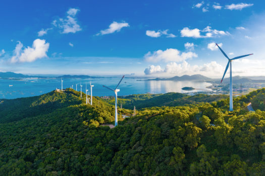 Amfora campsite - Eco-responsible approach - Consumption