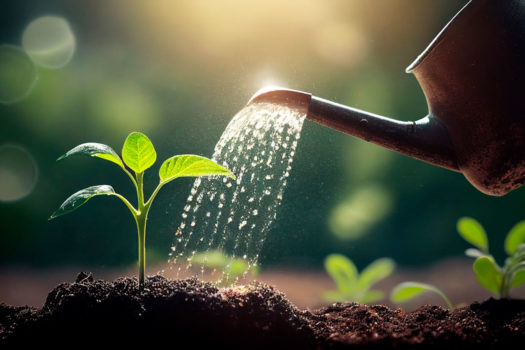 Amfora campsite - Eco-responsible approach