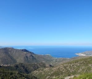 Camping Amfora - La région - Port de la selva