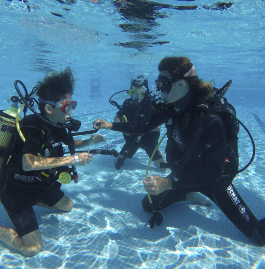 Camping Amfora - Activités et animations - Découverte de sport aquatique dans la piscine du camping Amfora