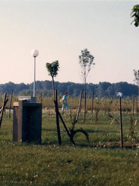 Càmping Amfora - Història del càmping - Espai verd i camins del camping en els anys 1980