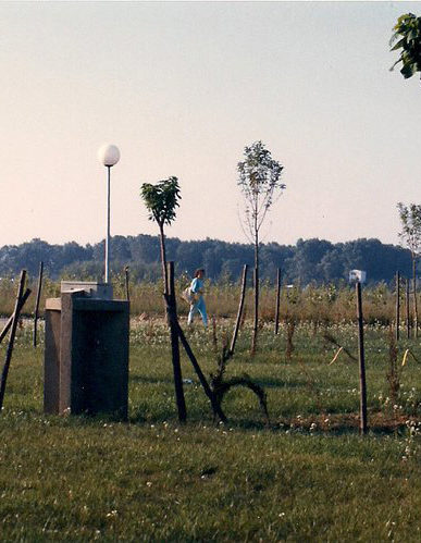 Càmping Amfora - Història del càmping - Espai verd i camins del camping en els anys 1980