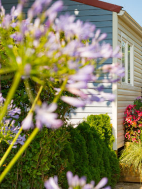 Càmping Amfora - Història del càmping - Camins del càmping en els anys 2000