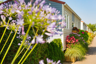 Càmping Amfora - Història del càmping - Camins del càmping en els anys 2000