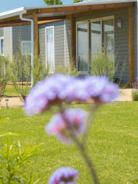 Càmping Amfora - Història del càmping - Parcel·la dels allotjaments en els anys 2020