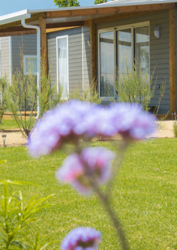 Càmping Amfora - Història del càmping - Parcel·la dels allotjaments en els anys 2020