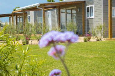 Càmping Amfora - Història del càmping - Parcel·la dels allotjaments en els anys 2020